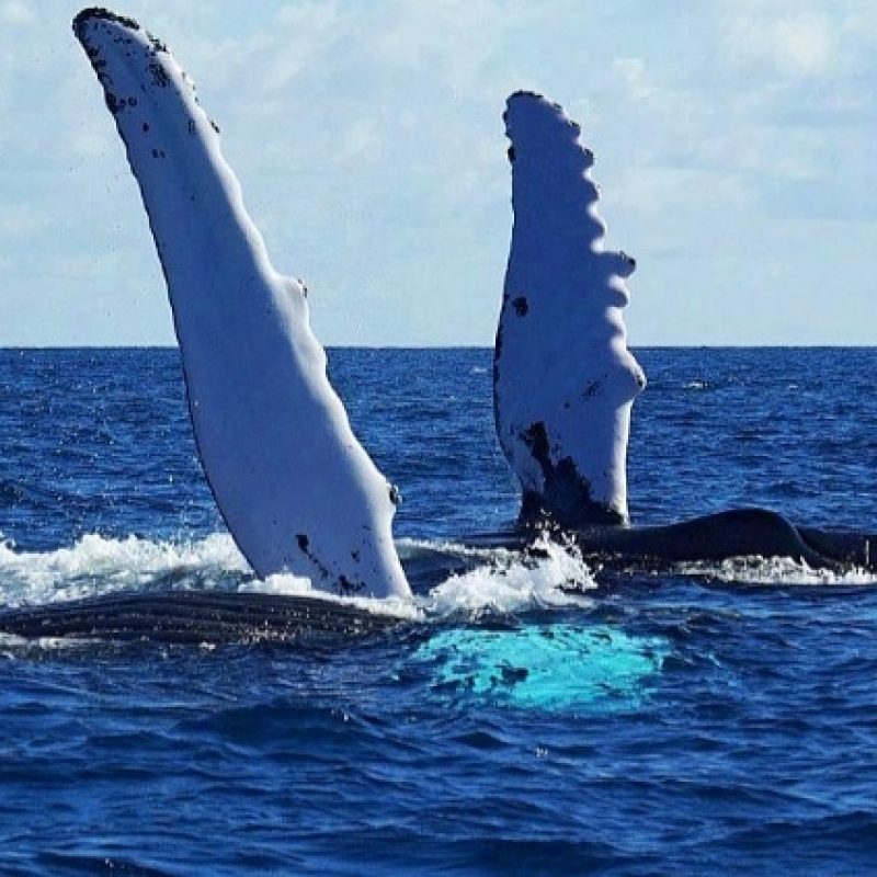 WhatsApp Image 2025-10-02 at 4.10.09 PM