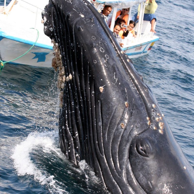 WhatsApp Image 2025-10-02 at 4.10.10 PM